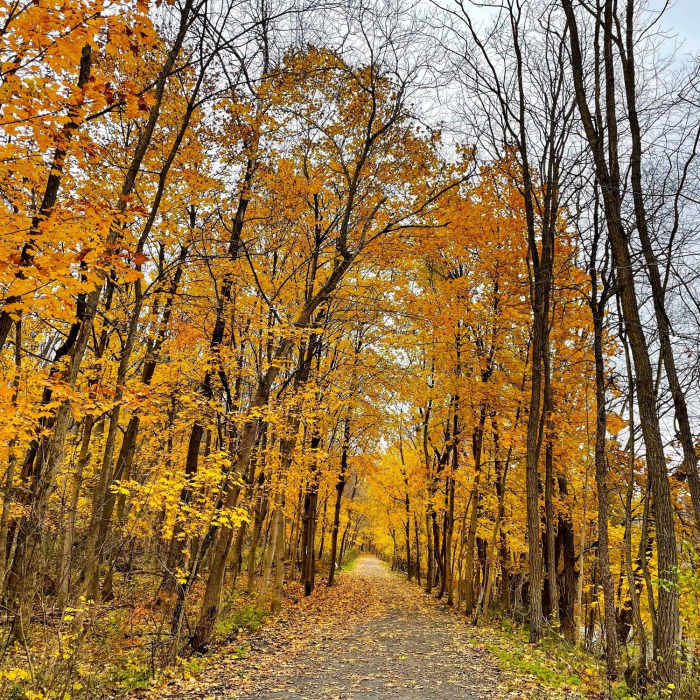 Near Hoosick River Greenway