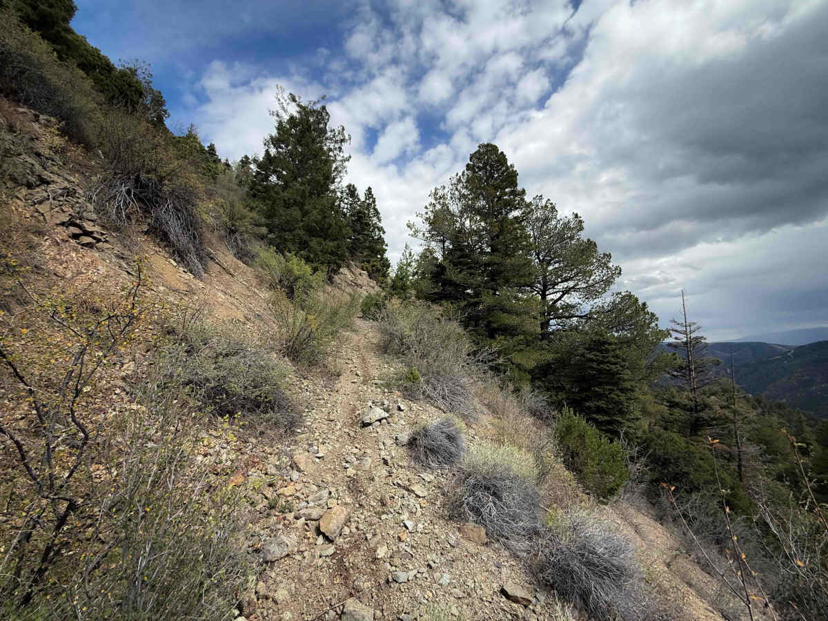 FS 195M trail photo