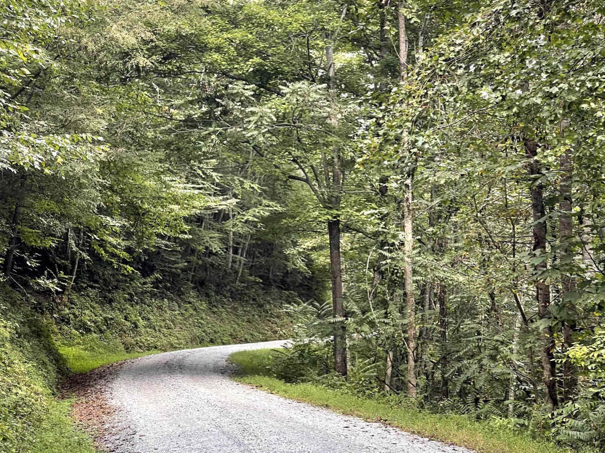 Shallow Creek Road photo 2