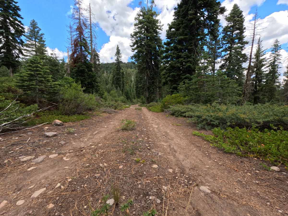 Pole Creek Spur - FS 5708 photo 6
