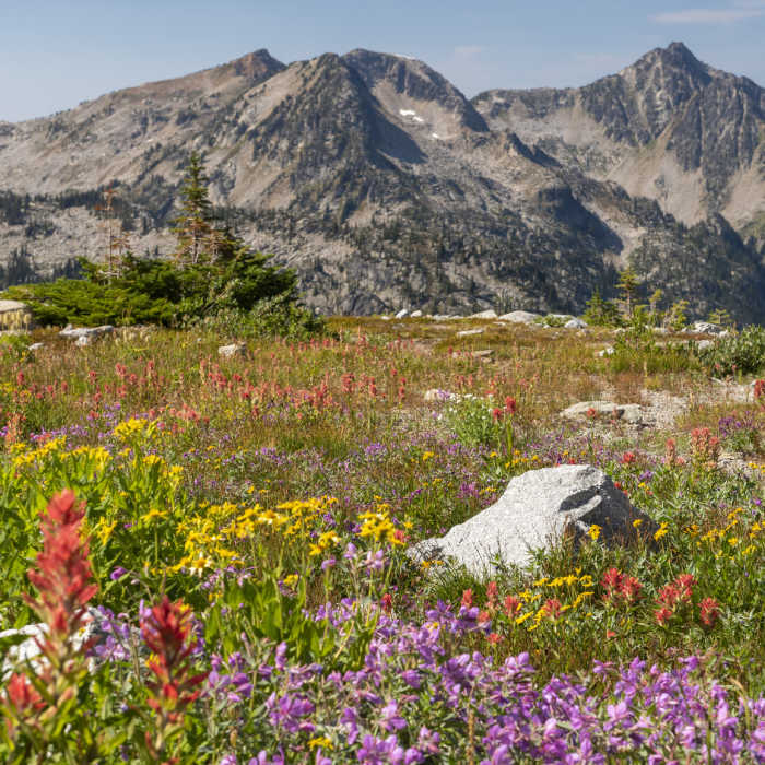 Near Glacier's Toe Trail and Battleship Viewpoint