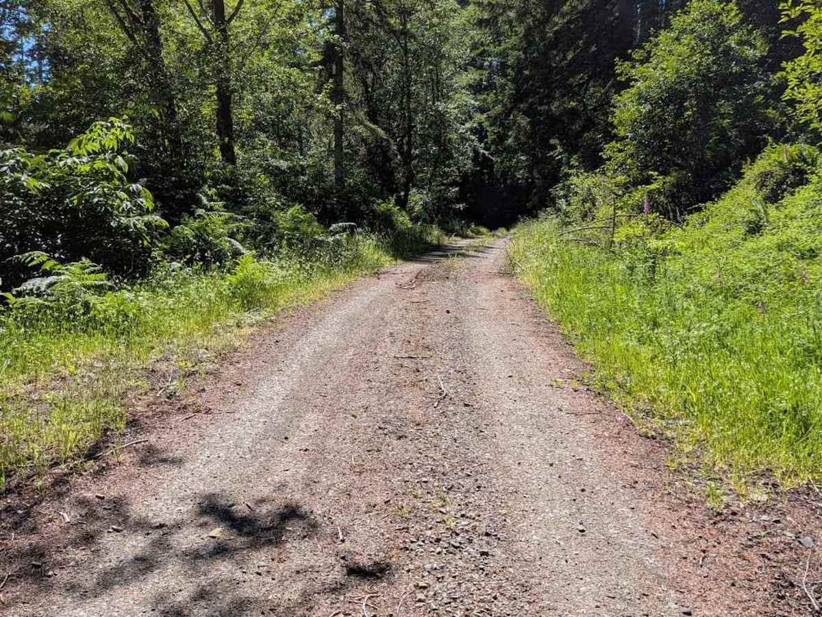 Lake Creek Rd - FS 3210 photo 3