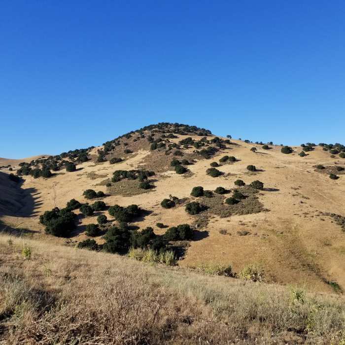Near Brushy Peak Loop Trail