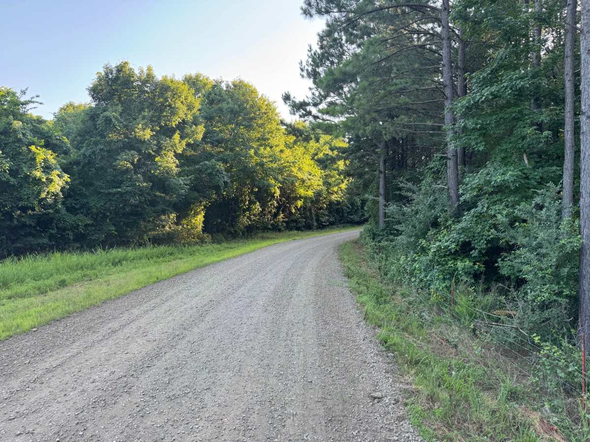 County Road 4200 trail photo
