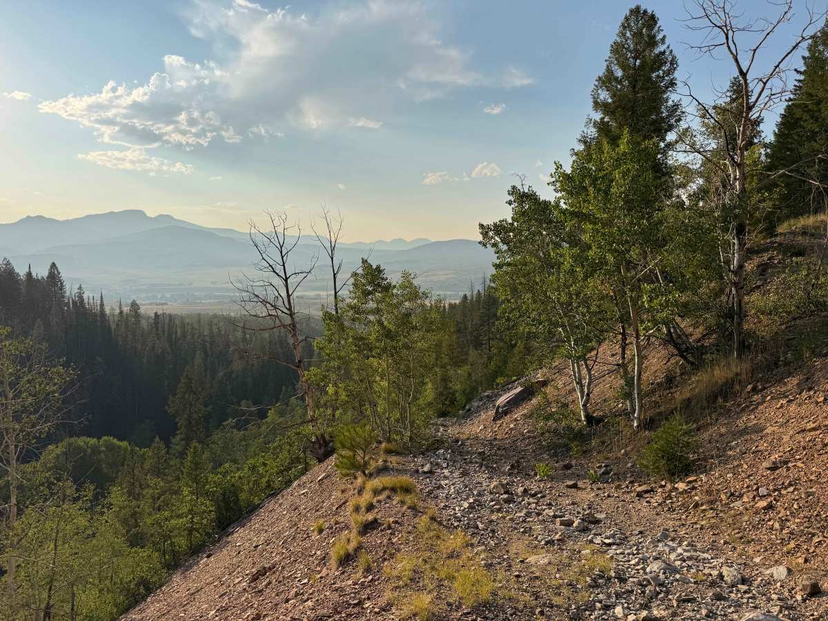 FS 403 trail photo