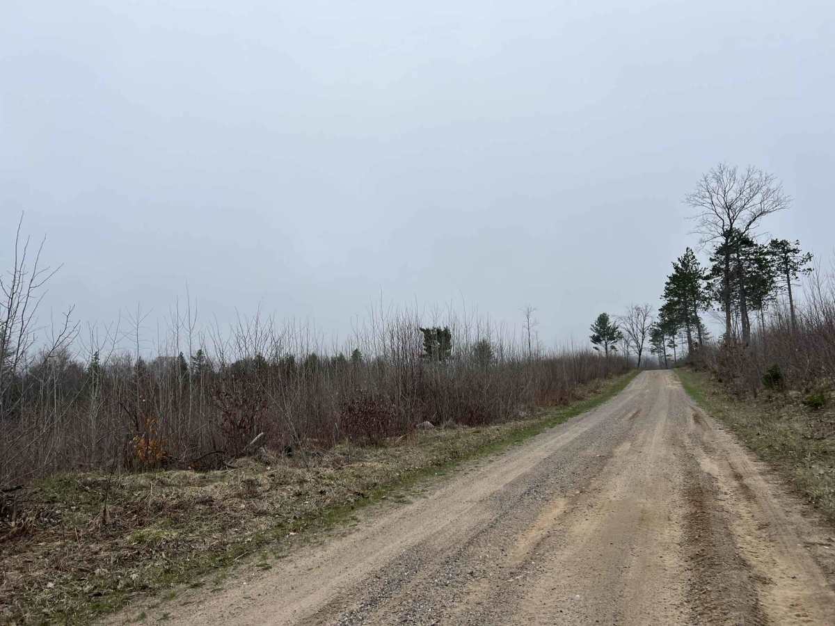 McCauley Creek Road - FS 2321 photo 6
