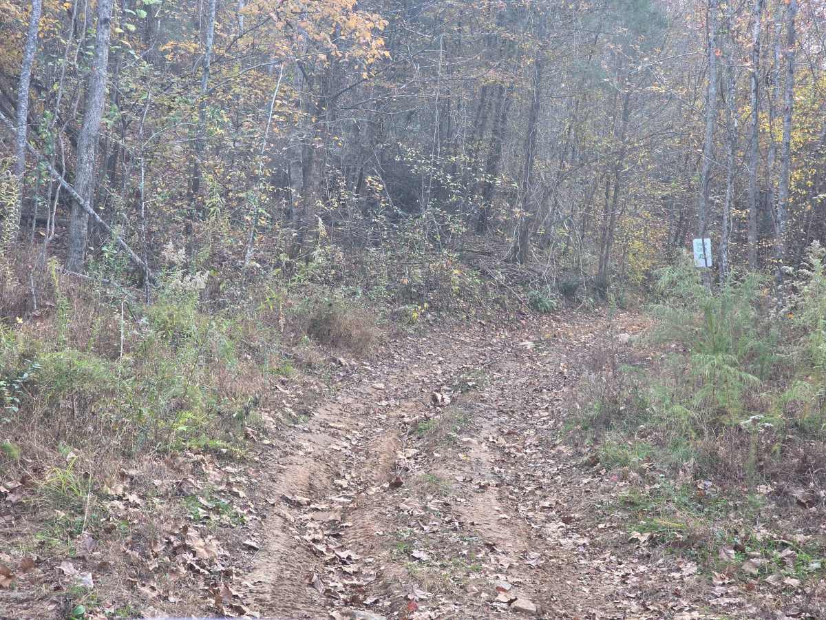Snake Ditch photo 2