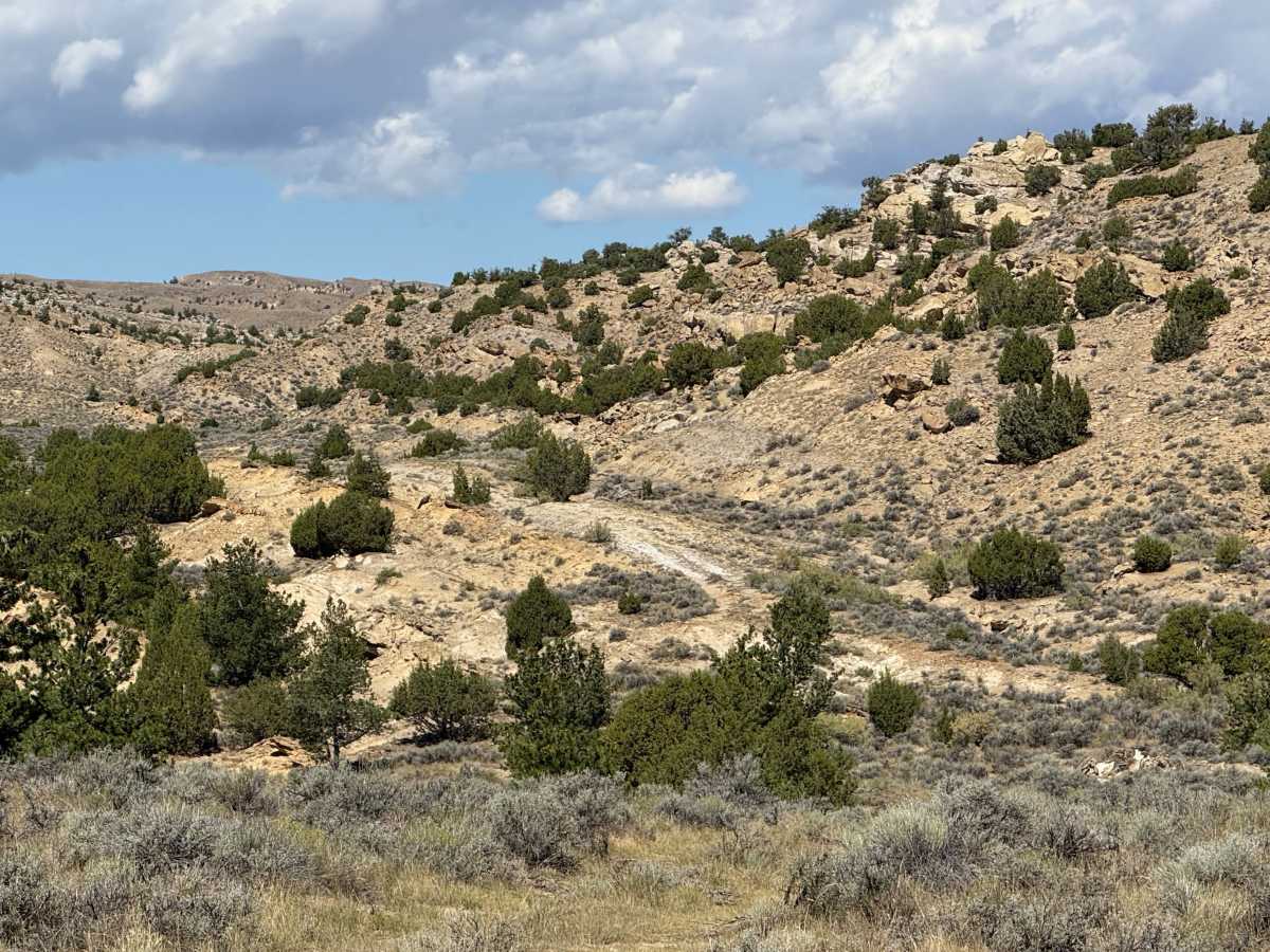Picnic Area Trail photo 3