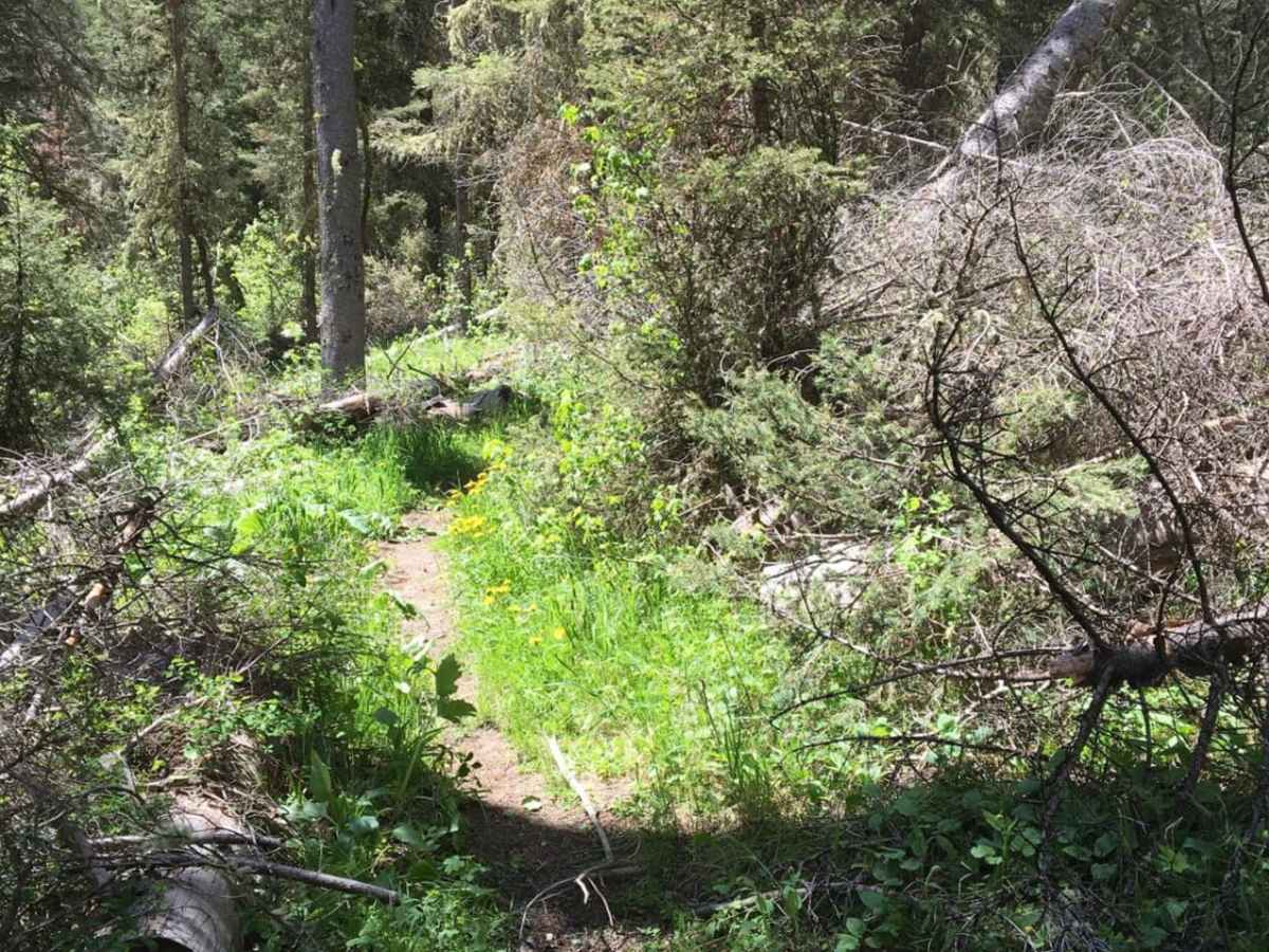 Muddy Creek to Where Stuff Gets Real photo 6