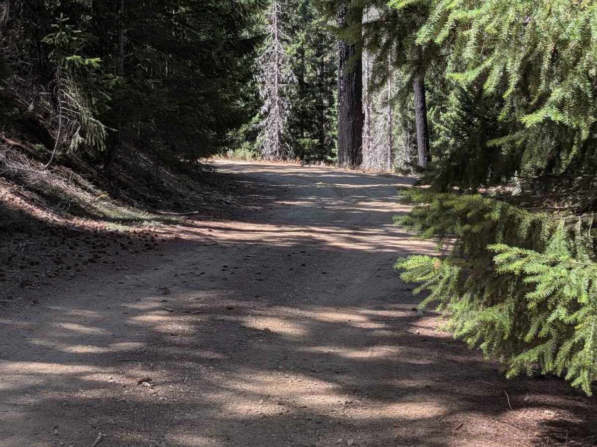 Redding Pine Road - FS 29N38 photo 6