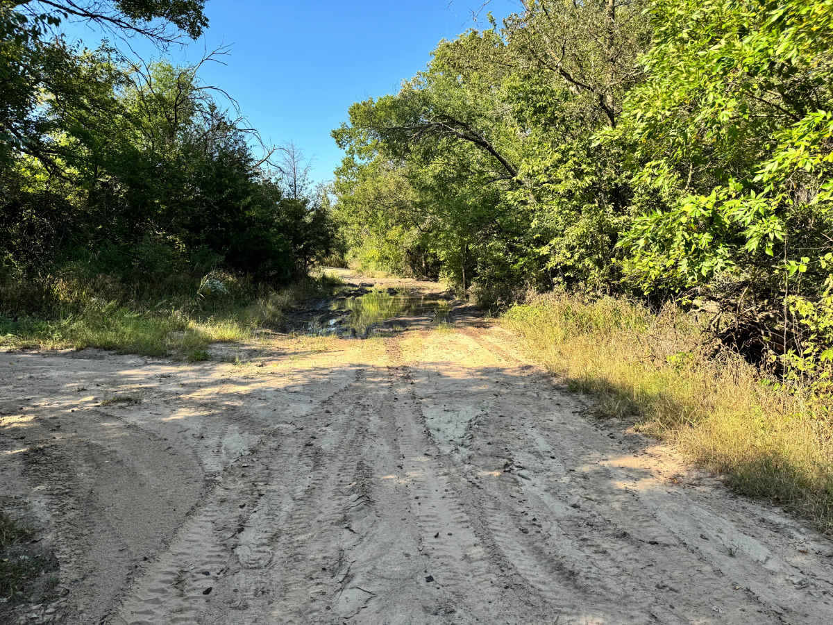 Smokestang Ridge trail photo