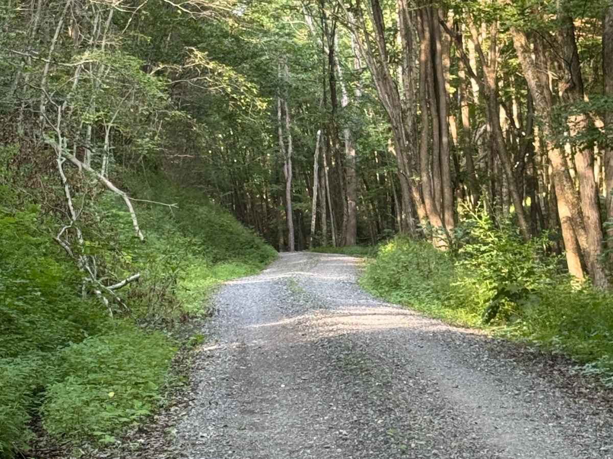 Fisher Mine Road photo 5