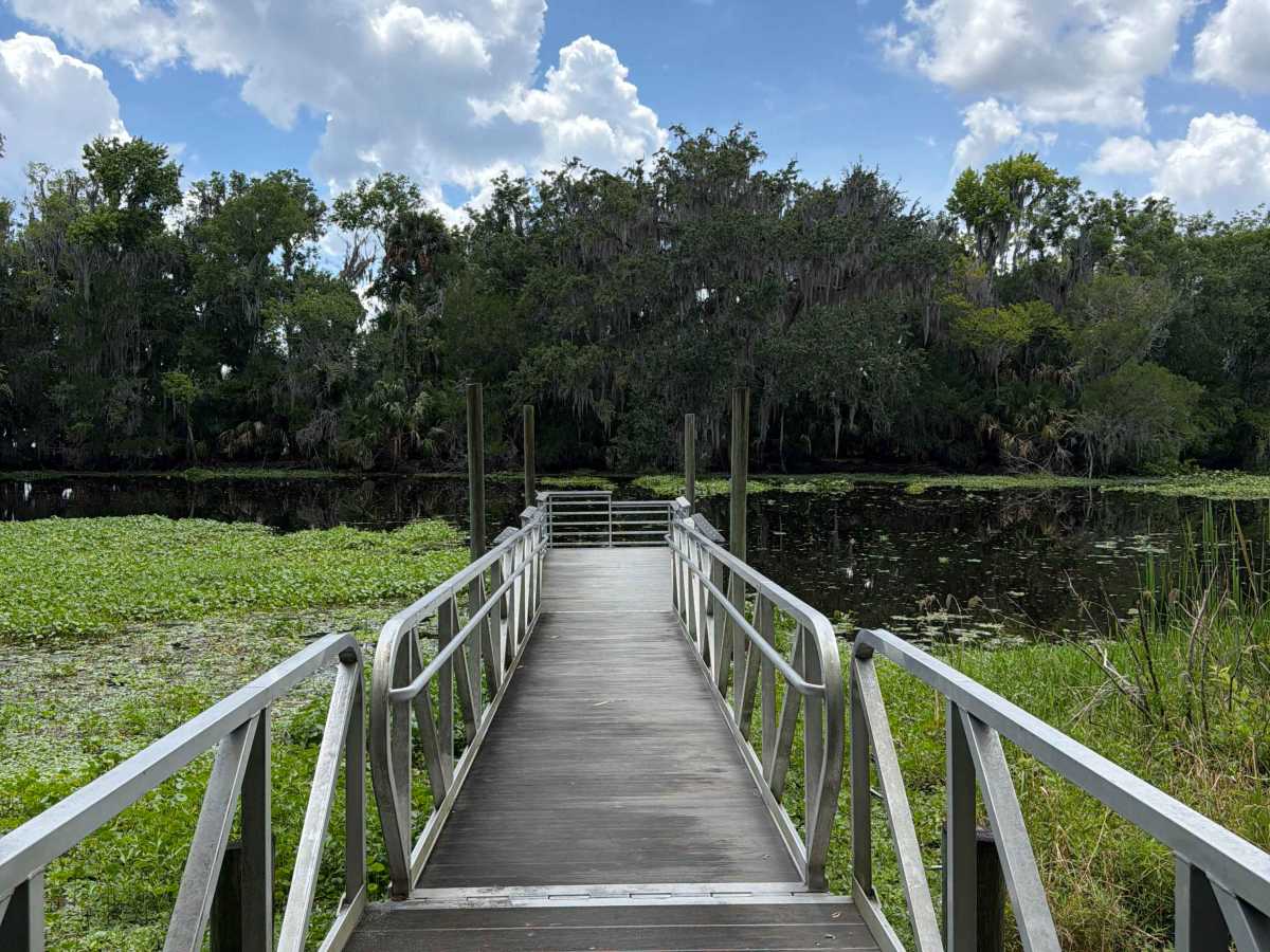 St Johns River Road photo 5