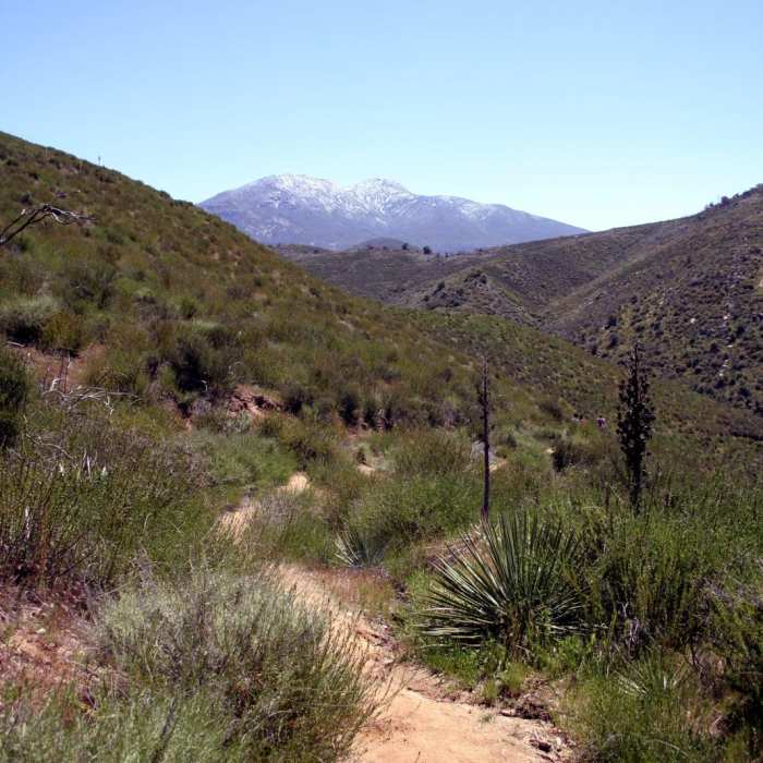 Near Three Sisters Falls