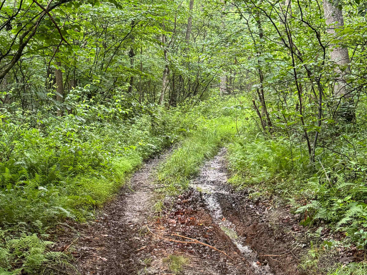 Trail 47 photo 3