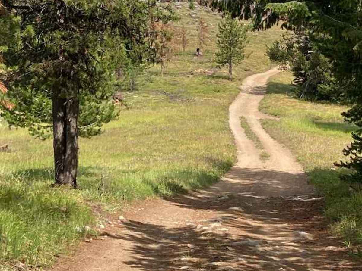 Kinney Point trail photo