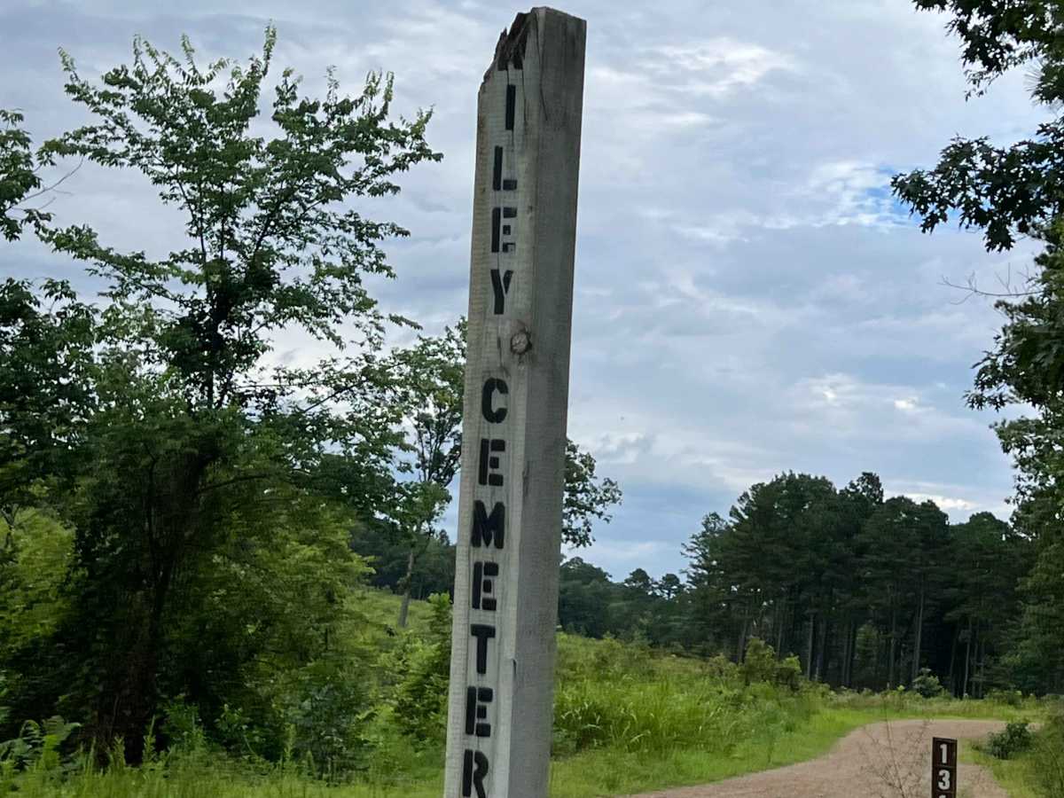 Wiley Trail trail photo