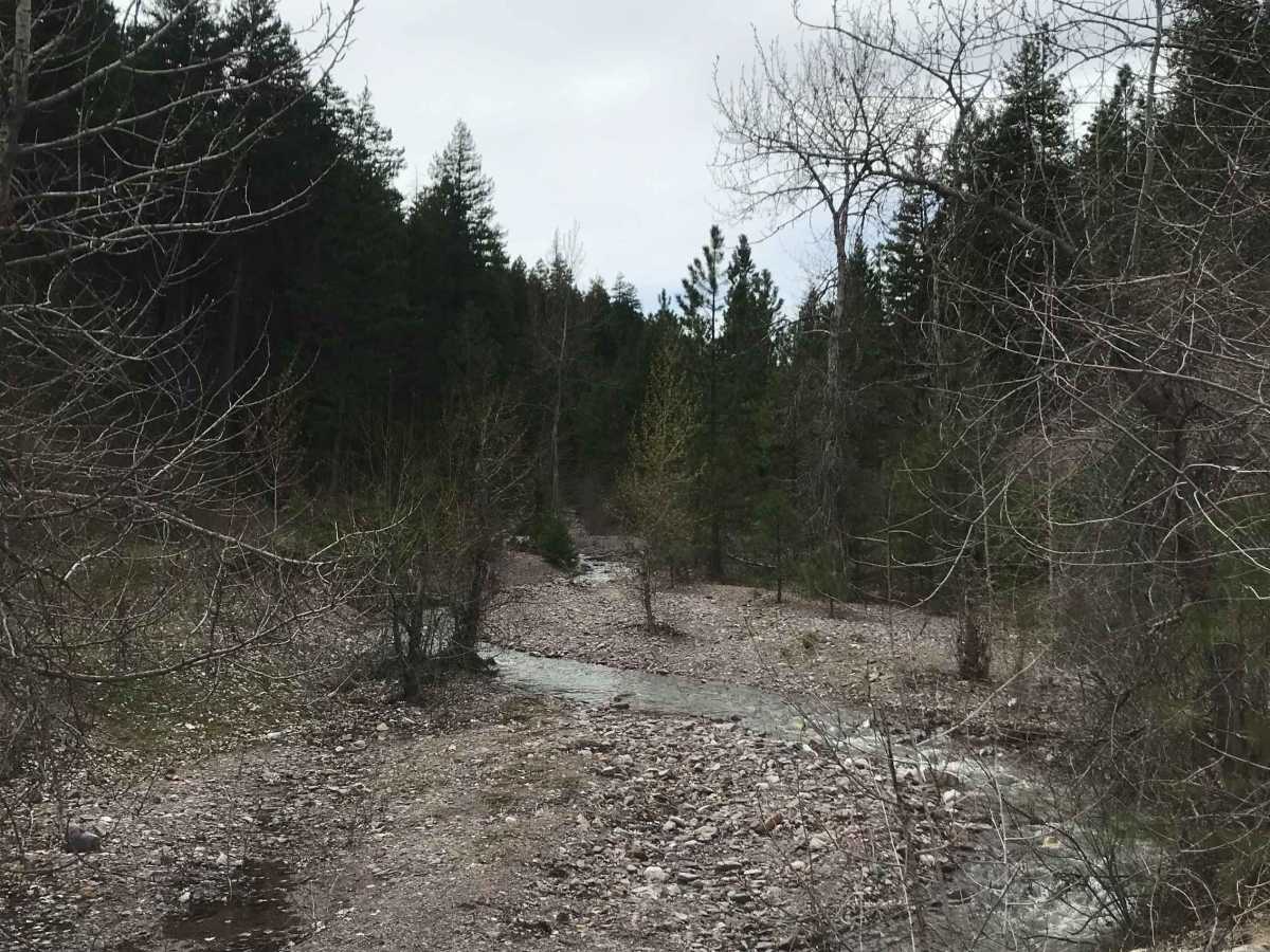 Southside Road trail photo
