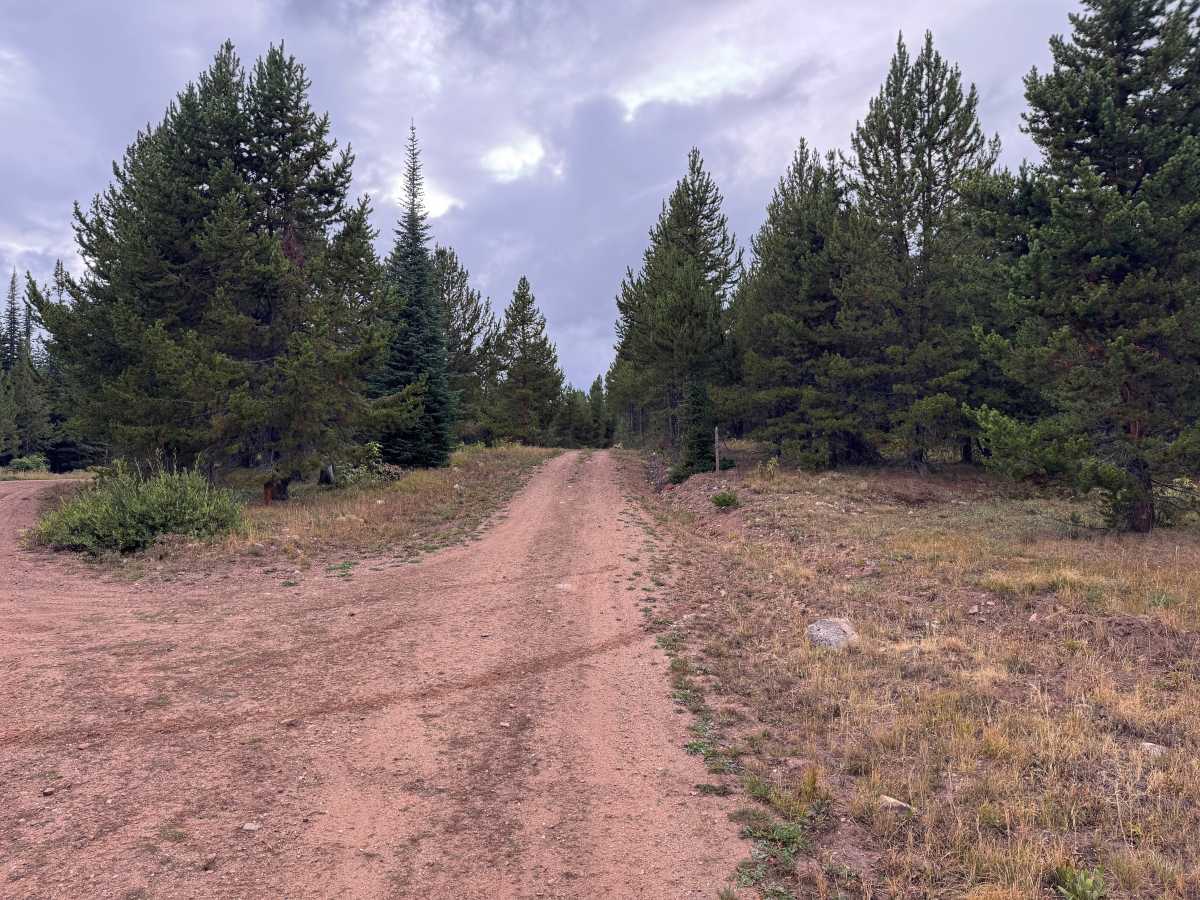 Red Canyon Road trail photo