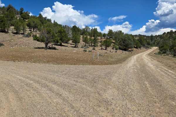 Turkey Creek A Road - FS 615