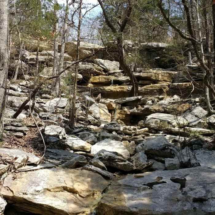 Near Oak Park Trail