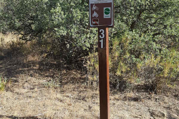 Trail 31