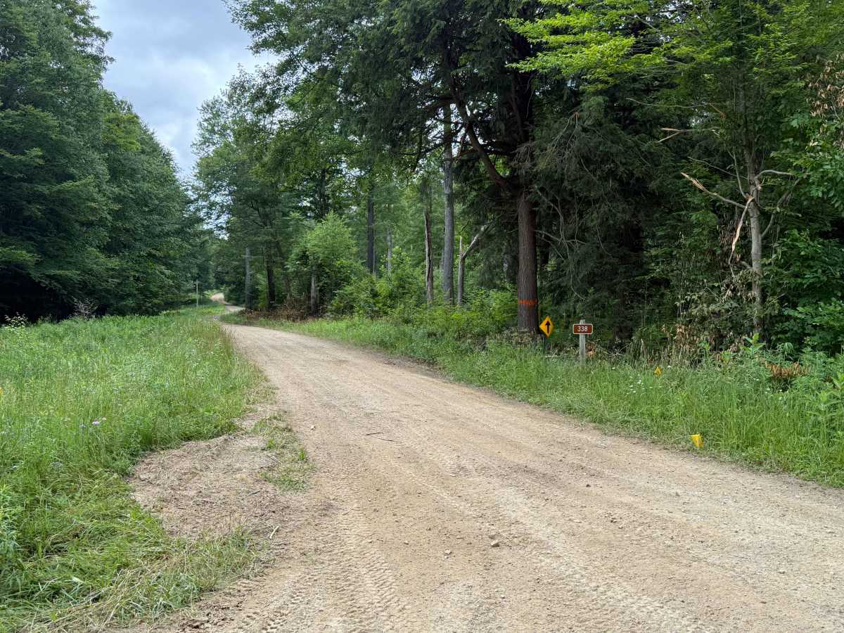 Middletown - FS 338 trail photo