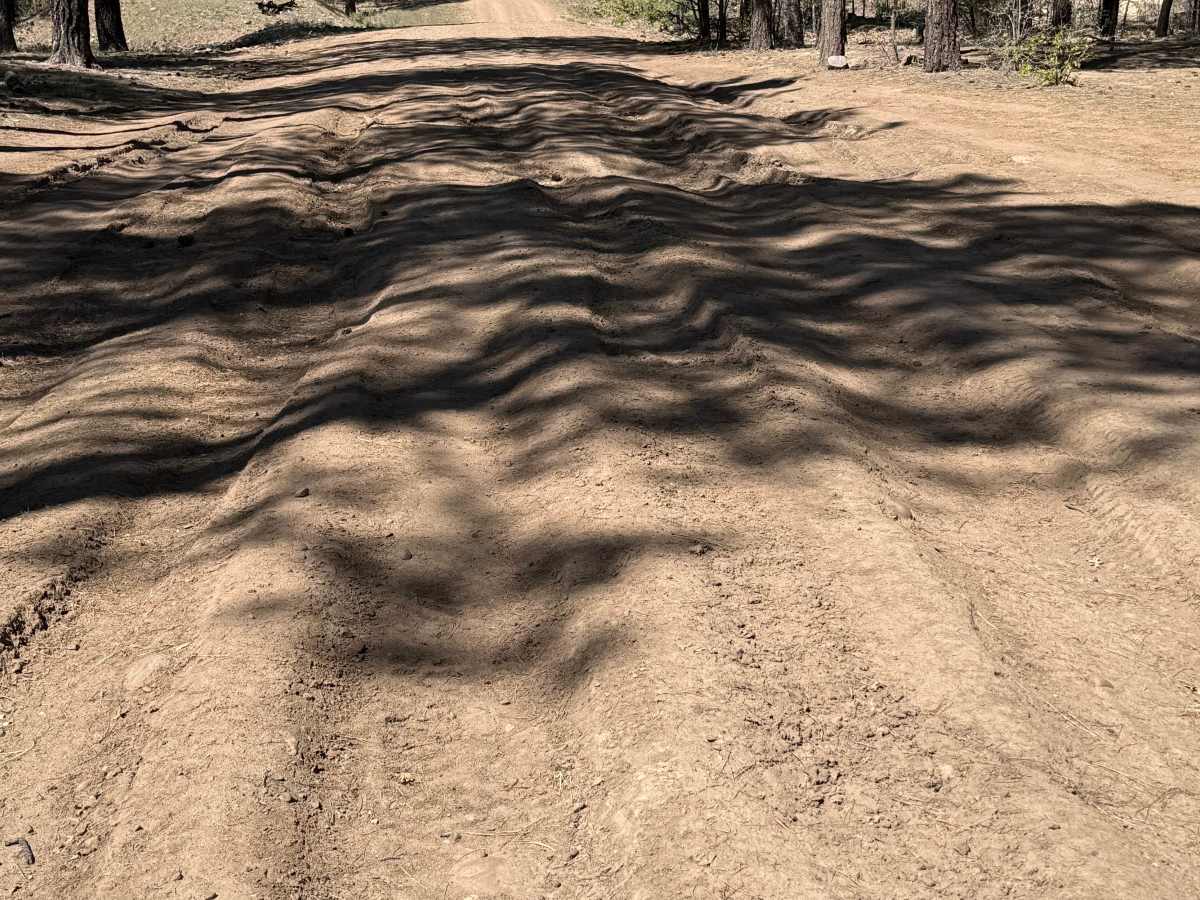 Pinedale Rim - FS 130 trail photo