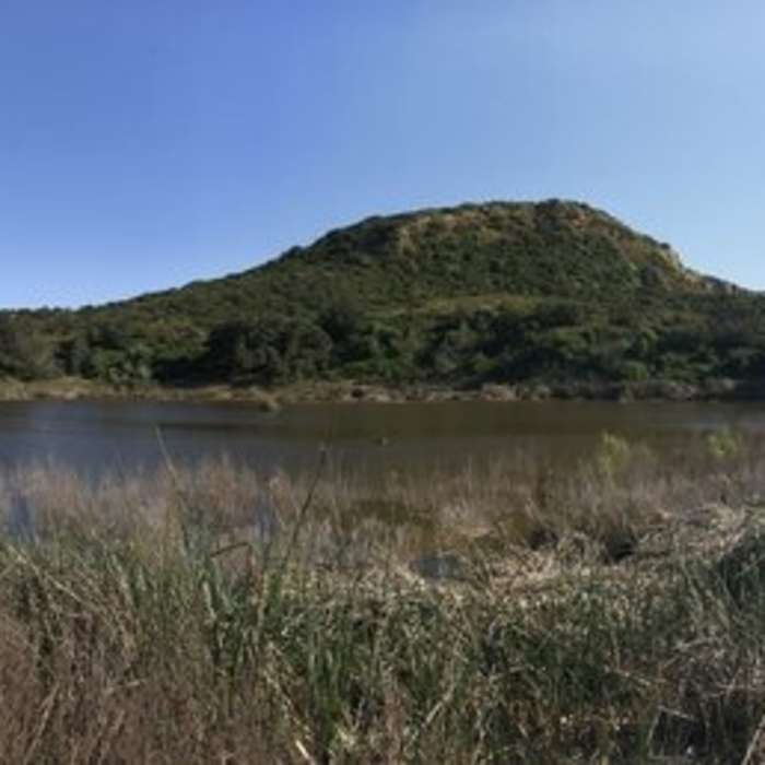 Near Lake Calavera Preserve Loop