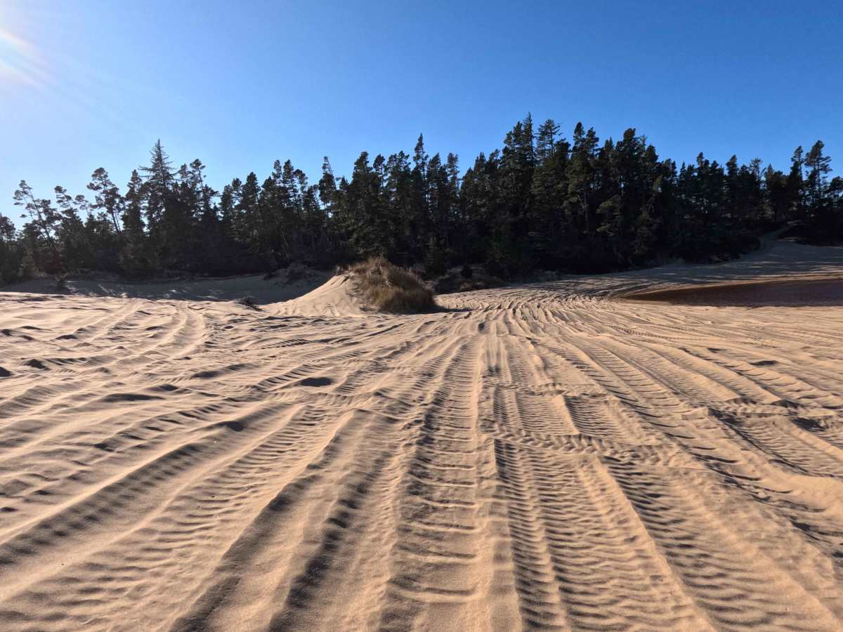 Hauser OHV Trail - 1341 photo 5
