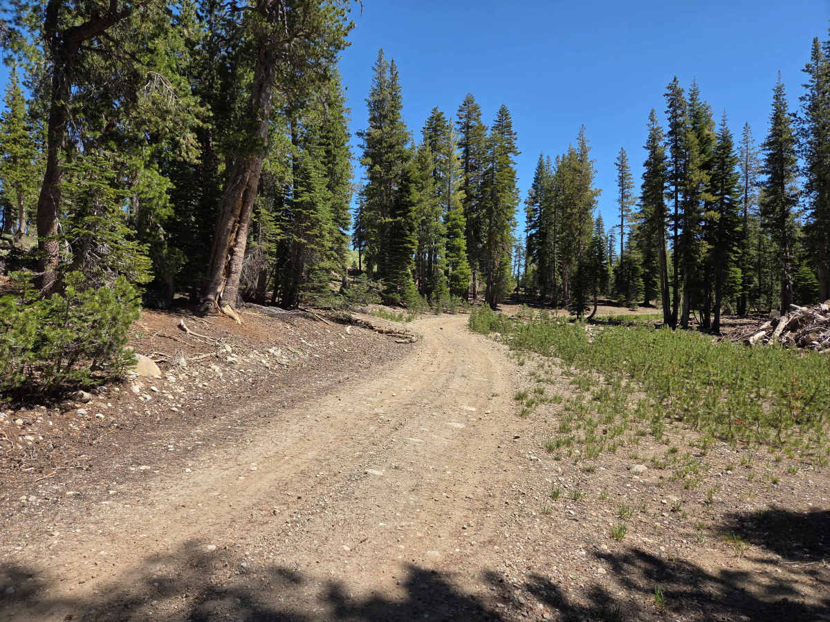 Bear Valley Loop photo 5