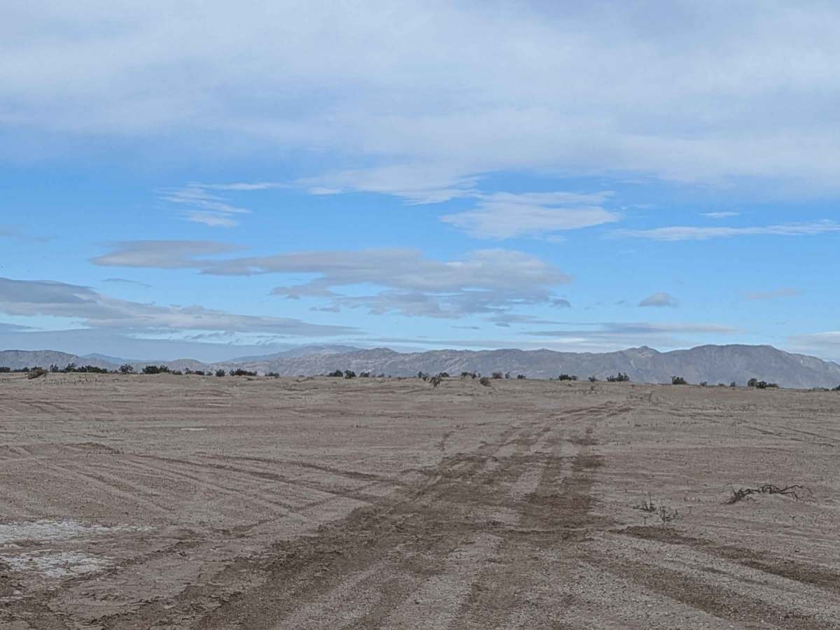 BLM 343 photo 4