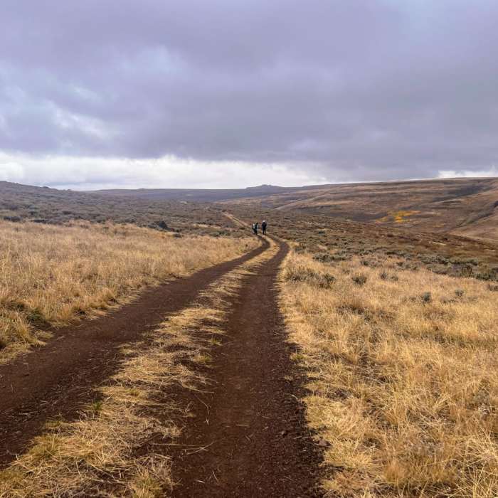 Near Trout Creek Mountain Road Near Trout Creek Mountain Road