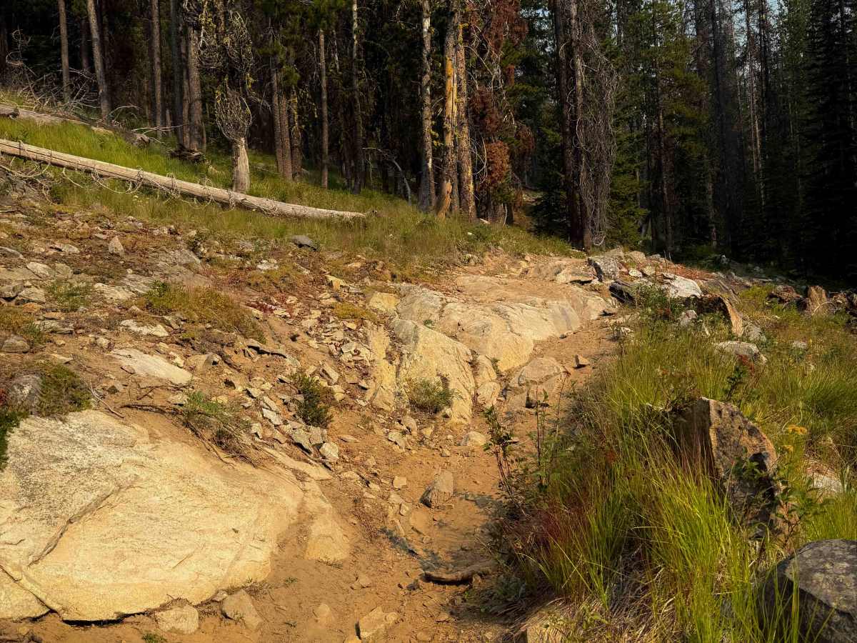 Cub Lake photo 2