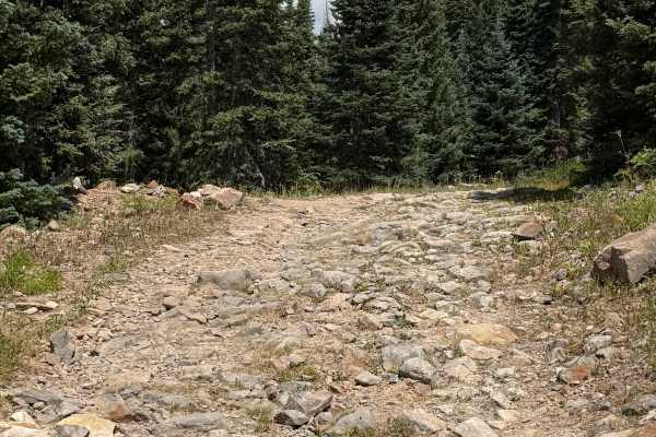 Forest Service Road 566 H