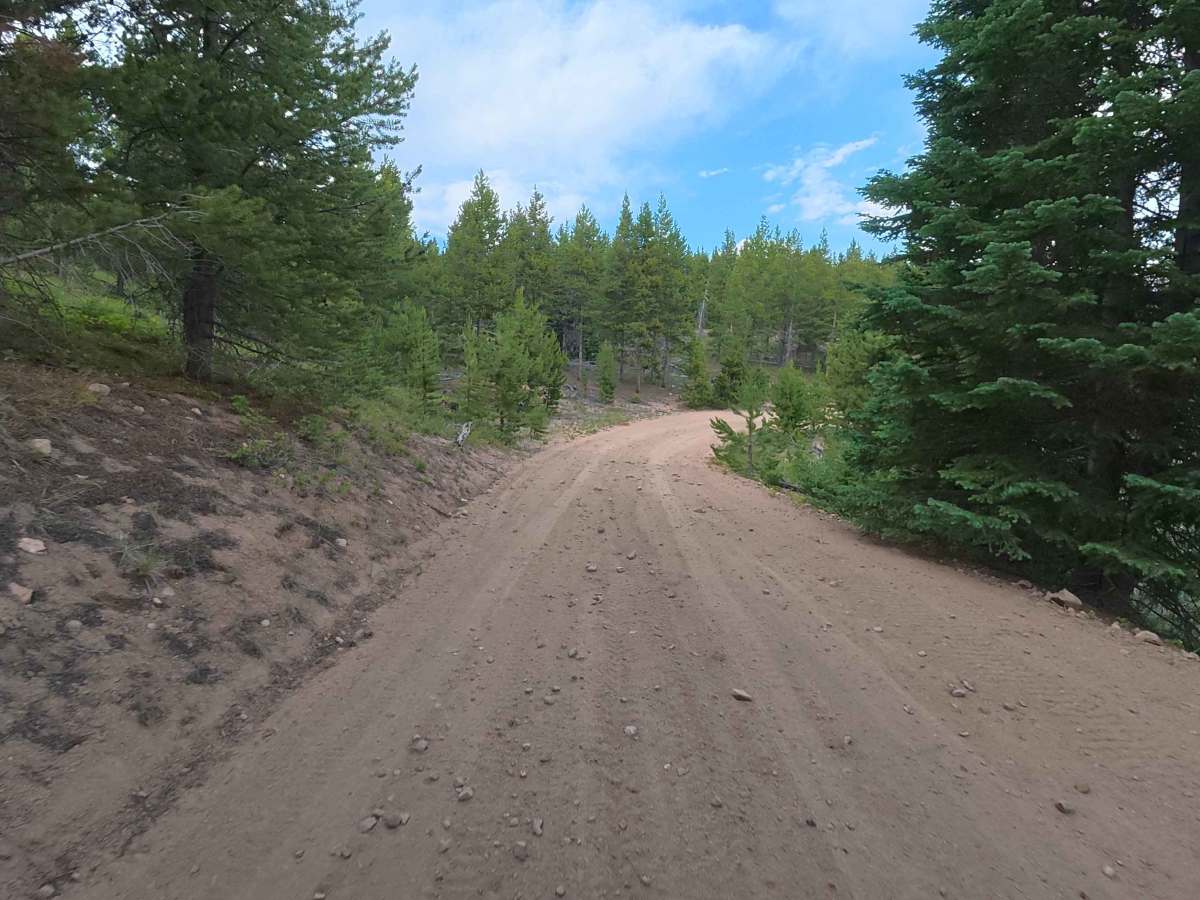 Gore Creek Road - FS 243 photo 4