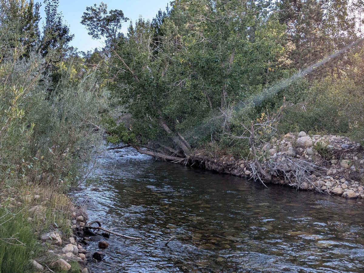 Picnic Grounds Road trail photo