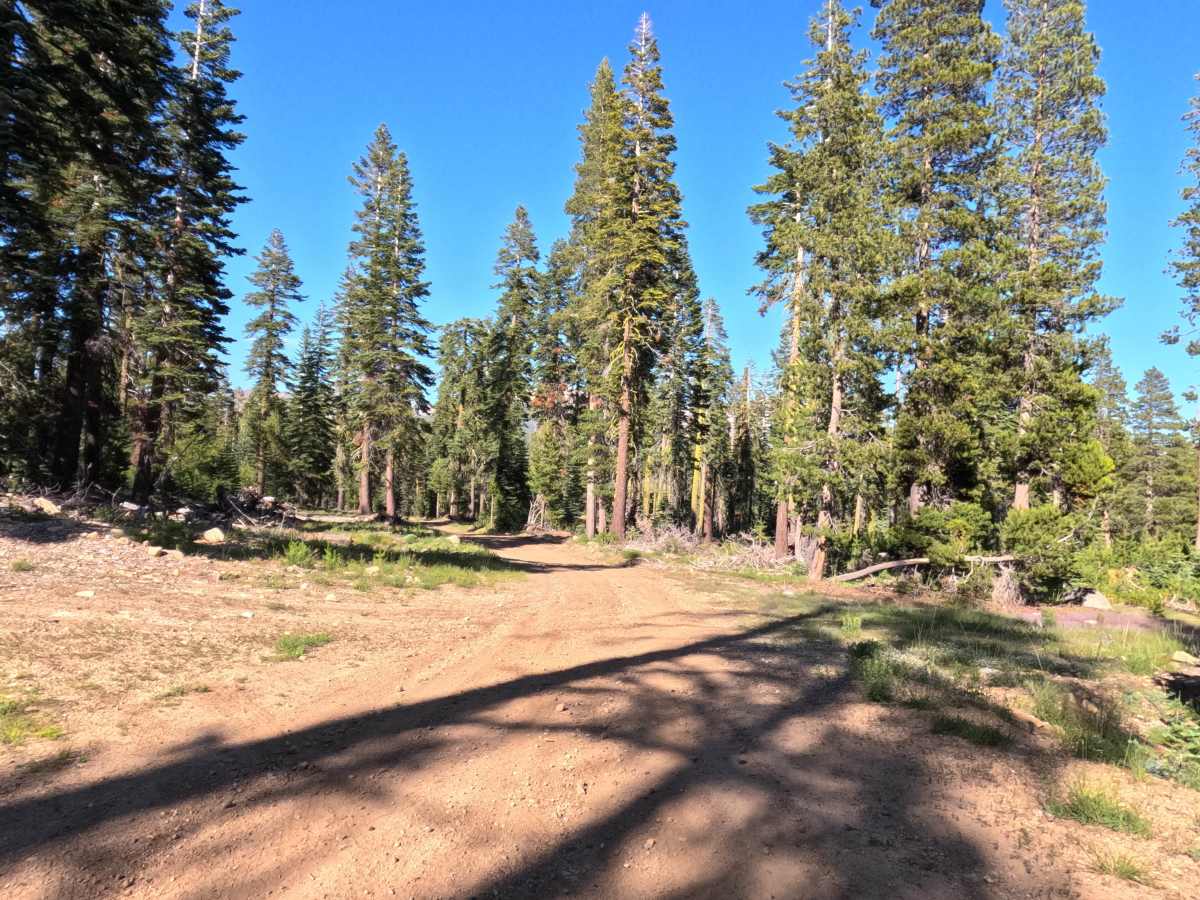 Silver Meadow West - FS 11N37GW trail photo