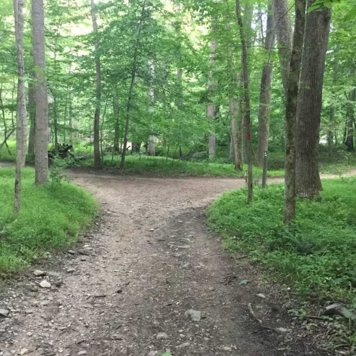 The Switchback Trail (white) enters from the right. Near Switchback Trail