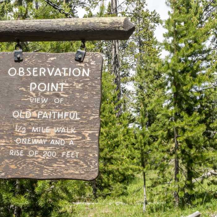 Near Observation Point