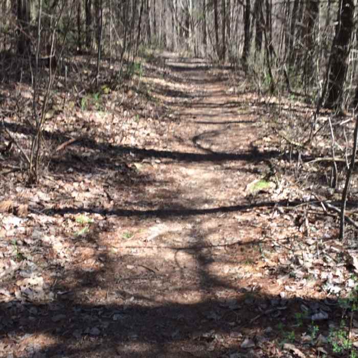 Near Blue Loop