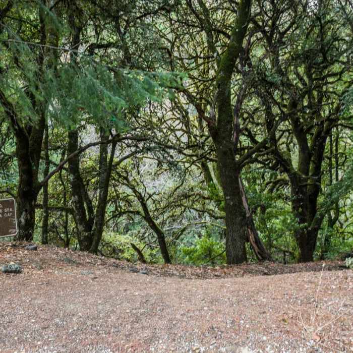 Near Skyline to the Sea Trail: Saratoga Gap to Big Basin Headquarters