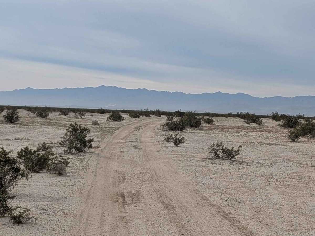BLM 342 photo 6