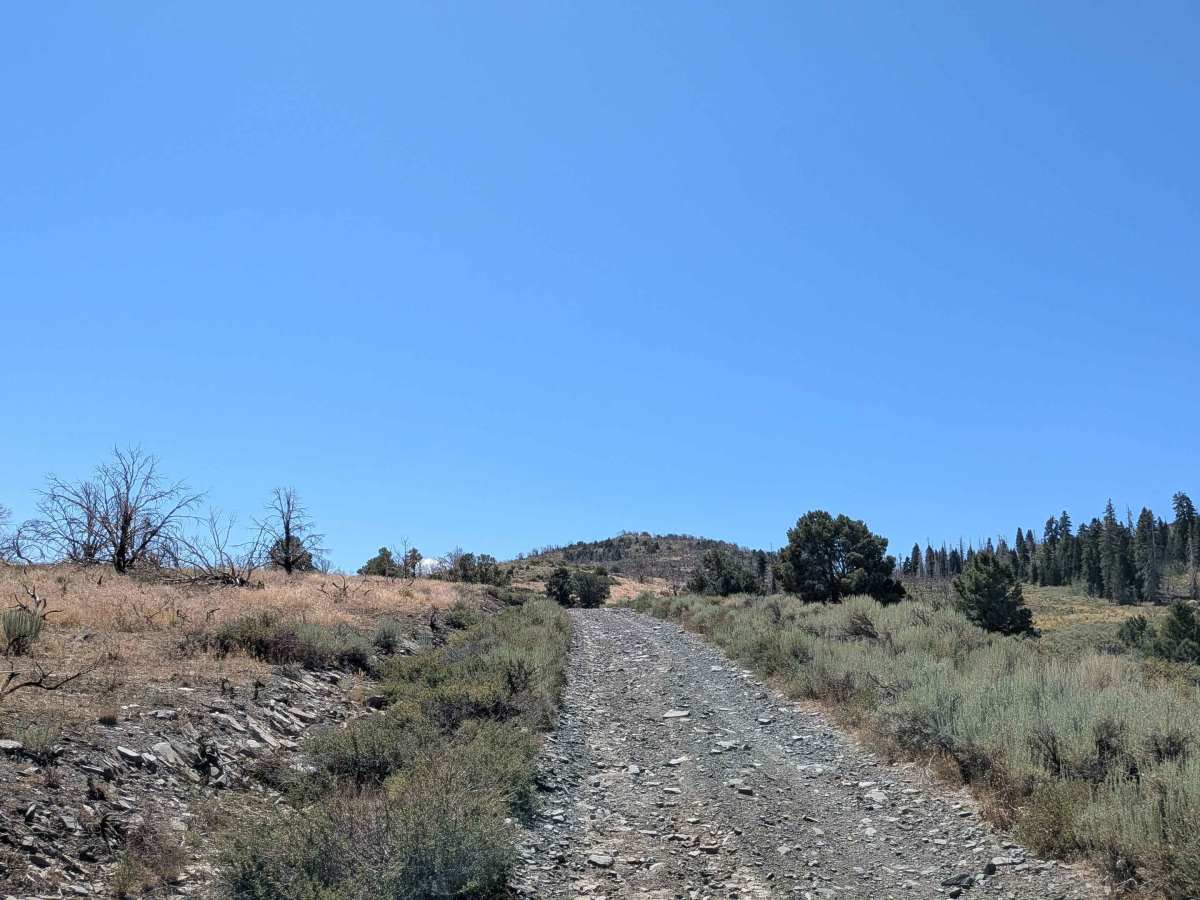 Big Spring Spur Road photo 6
