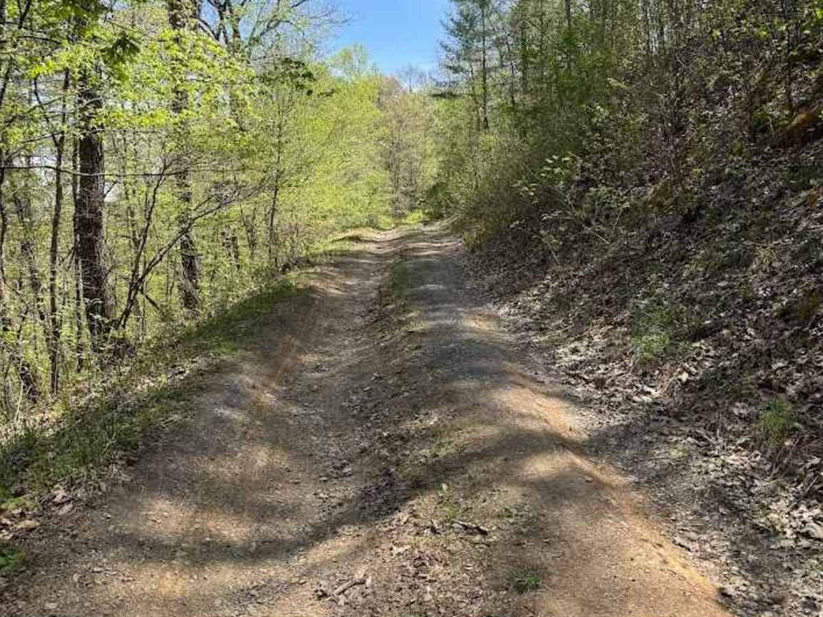 Alier Hollow trail photo