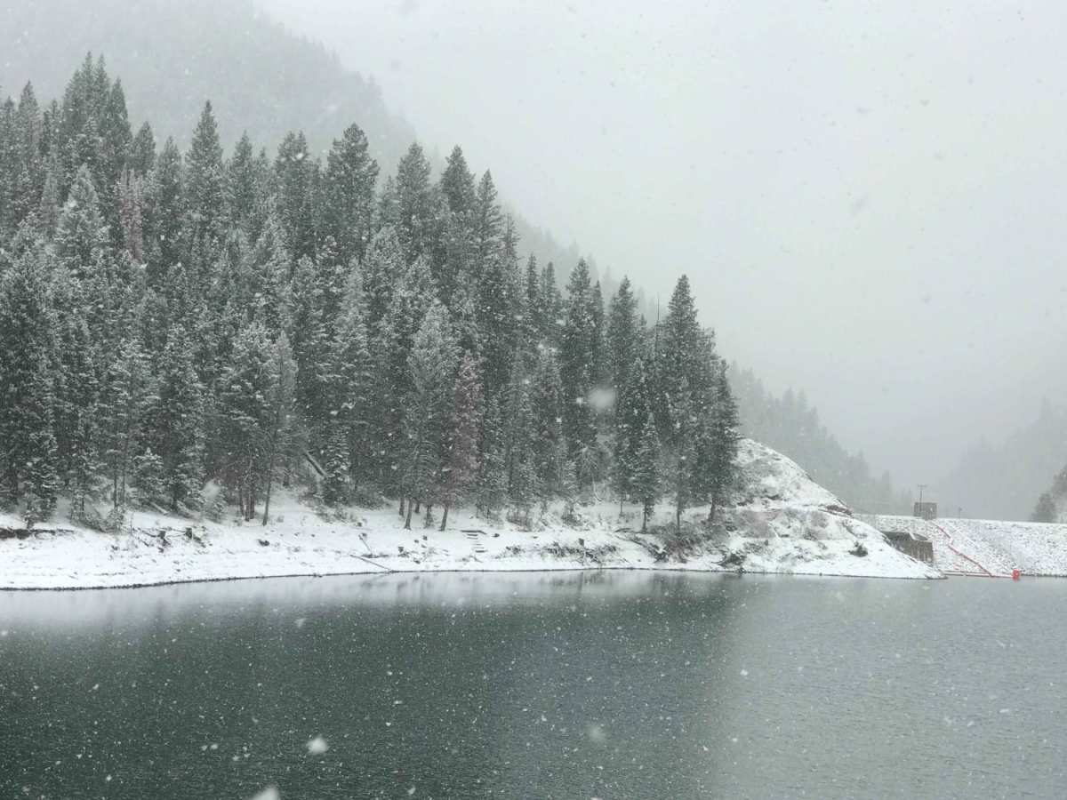Forest Lake Trail photo 5
