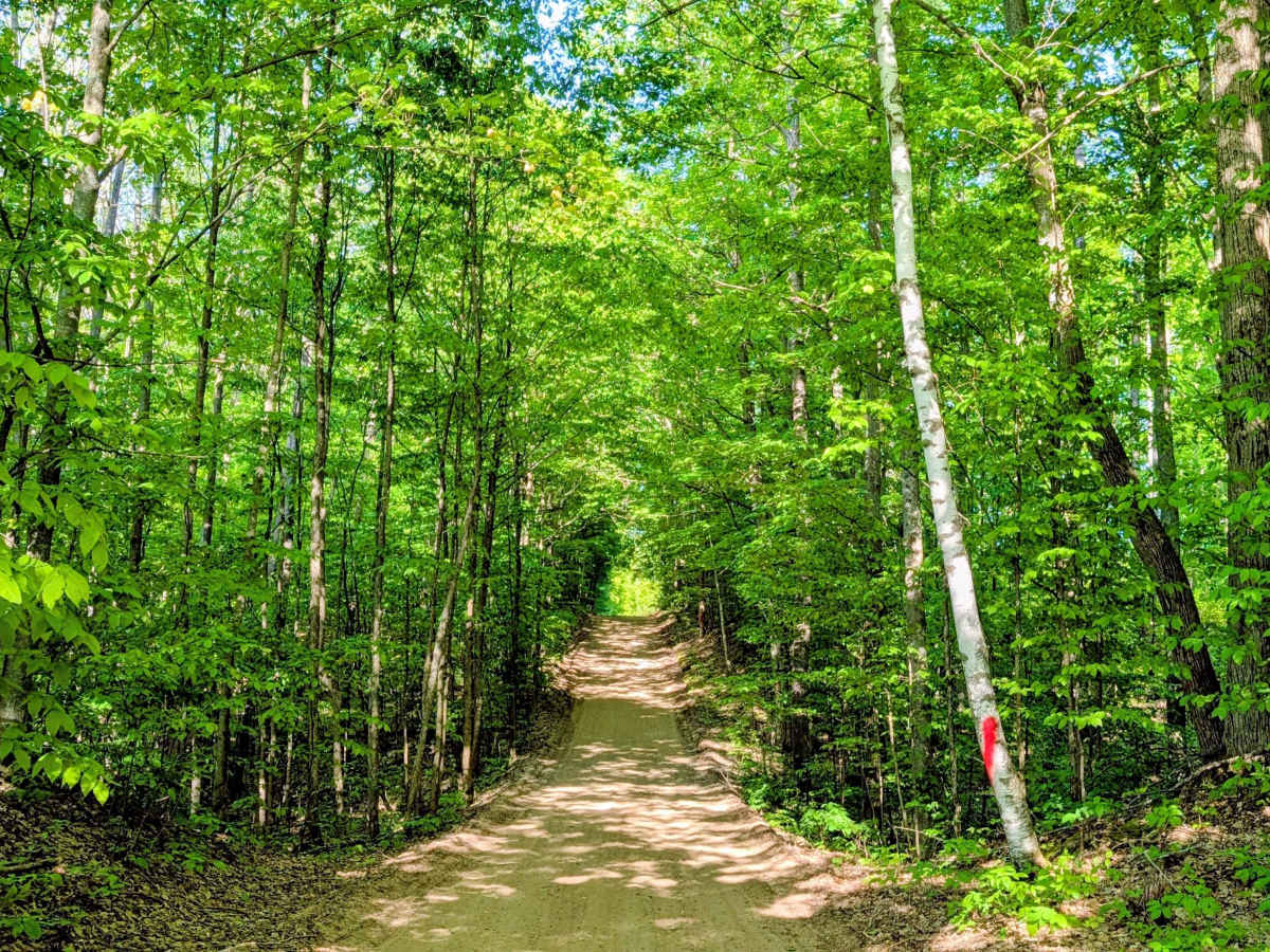 Six Point Road Southeast trail photo