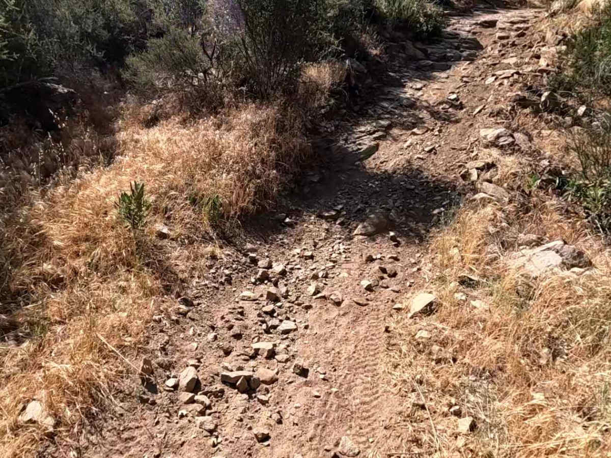 Sidewinder OHV Trail photo 5
