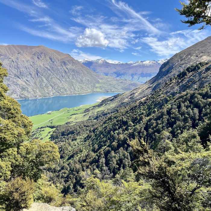 Near Sawyer Burn Track Near Sawyer Burn Track