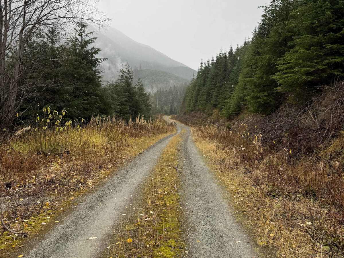 Kleanza Forest Service Road photo 3